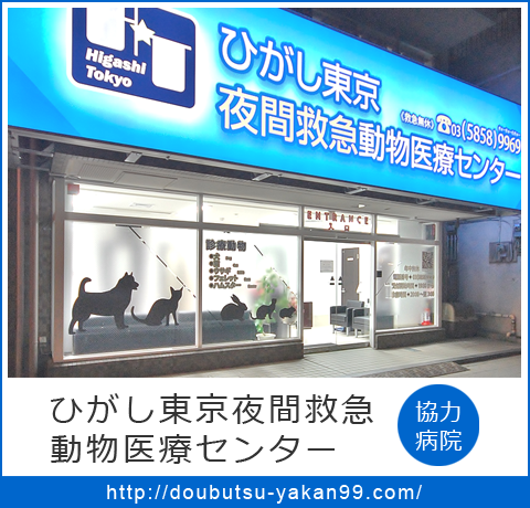 葛飾区の動物病院 ひがし東京夜間救急動物医療センター